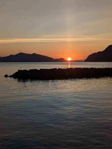 台風後でも濃いのは濁りだけ