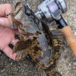 広島ライトゲーム8目47匹！