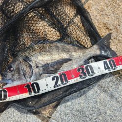 丸1日広島河川チニング