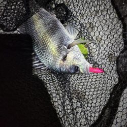 トップチニング