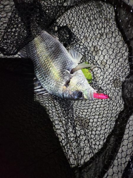 トップチニング