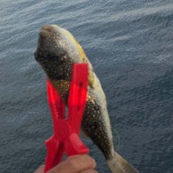 中央堤防で✌️