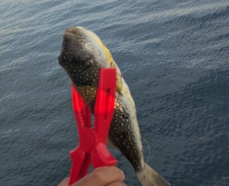 中央堤防で✌️