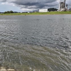 メッキが釣れました!