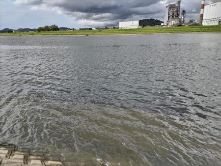 メッキが釣れました!