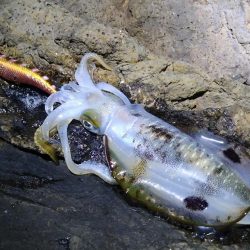 土砂降りを回避