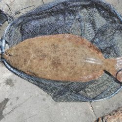 今年初ノマセ釣り🎣