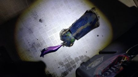 ティップラン開幕戦