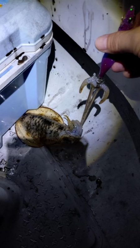 ティップランThird