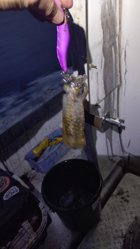 瀬戸内海ティップラン４ｔｈ