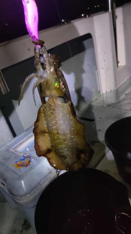 週末ティップラン