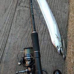 朝マヅメの３時間