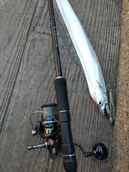 朝マヅメの３時間