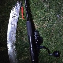 夕マヅメ短時間釣行