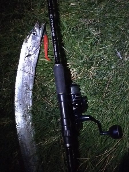 夕マヅメ短時間釣行