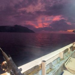 鳥取イカメタル