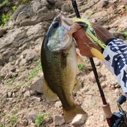 大減水!ボトム狙いで50UP!