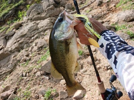 大減水!ボトム狙いで50UP!