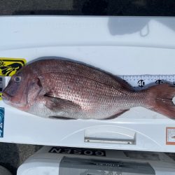 鹿児島錦江湾で1つテンヤのタイ釣り、また行ってきました