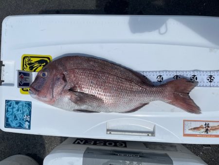 鹿児島錦江湾で1つテンヤのタイ釣り、また行ってきました