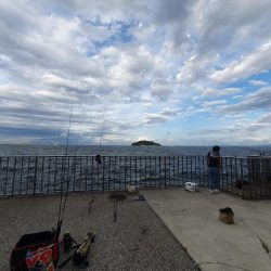 ファミリーフィッシング