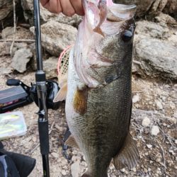 連休最終日も好調！！