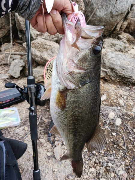 連休最終日も好調！！