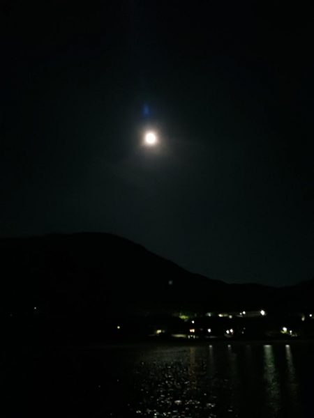 とりあえずアオリ2回目