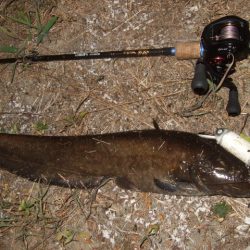 真夏のパターン