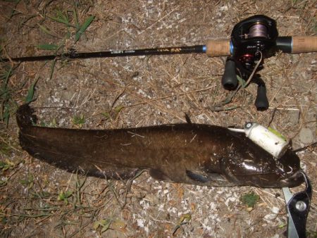 真夏のパターン