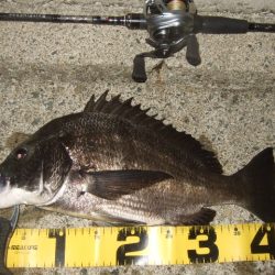 新規ポイントを開拓に