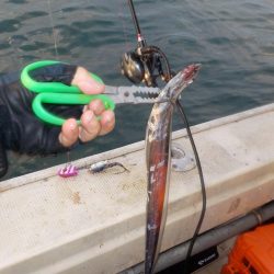 タチウオ第1戦〜盛和丸〜