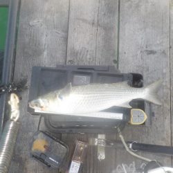 かかり釣り第1戦〜たかし丸〜