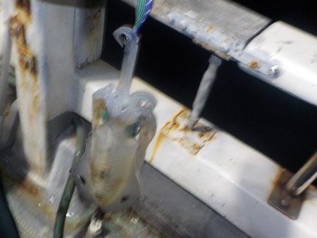 ティップラン初釣行〜倉丸〜