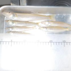 キス第2戦〜take sea〜