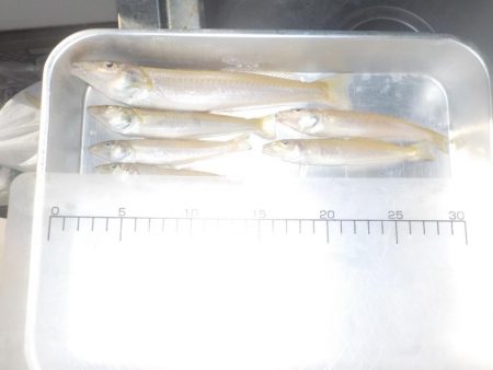 キス第2戦〜take sea〜