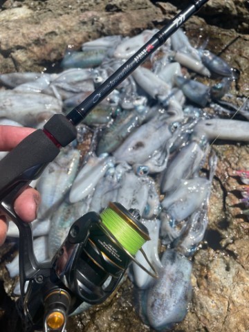 2025 佐渡ヶ島エギング Vol.4【9月6日】