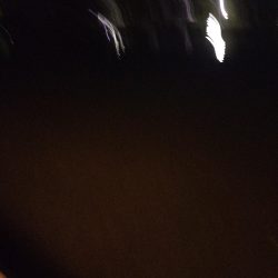 久しぶりの夜釣り