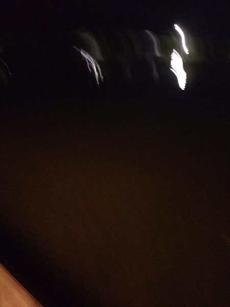 久しぶりの夜釣り