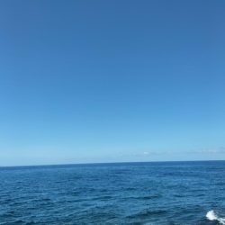 久しぶりのショアジギング