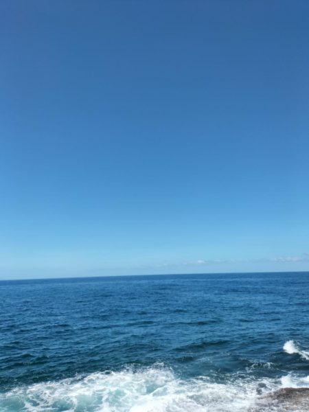 久しぶりのショアジギング