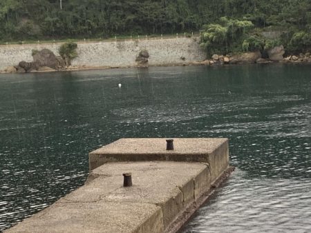 アジフライ　イカフライ