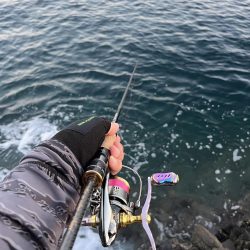 エギング　佐渡遠征③その1