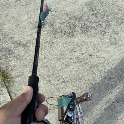 イカ丼食べたくて