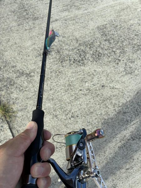 イカ丼食べたくて