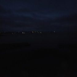 2週連続で夜釣り