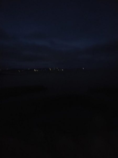 2週連続で夜釣り