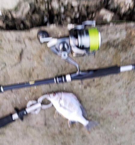 小物しか釣れない…゜