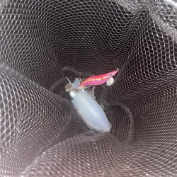 予報?予想以上に爆風!!!