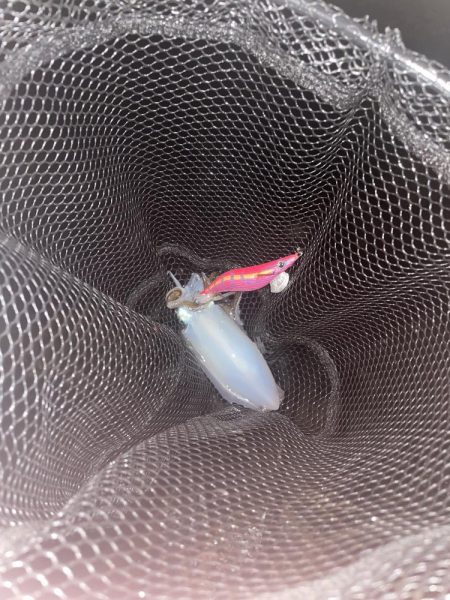 予報?予想以上に爆風!!!